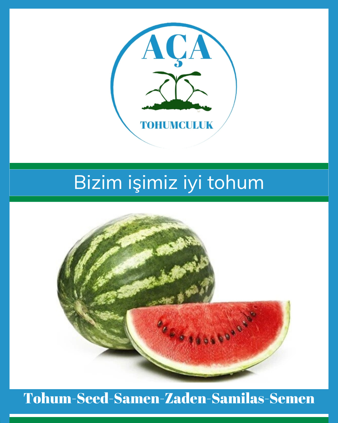 Doğa Dostu Tarım: Aça Tohumculuk'un Sürdürülebilir Çözümleri